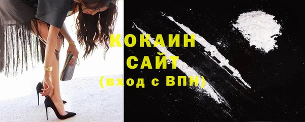 шишки Алексин