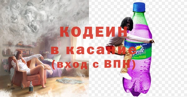 шишки Алексин