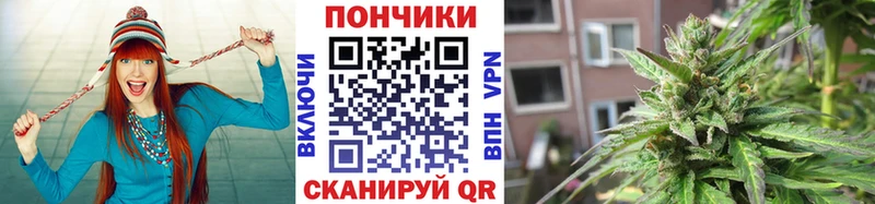 kraken ONION  Цоци-Юрт  Канабис планчик 